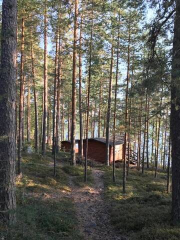 Фото номера Шале Лоджи Koskenselkä Camping г. Пуумала 12