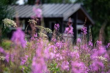 Фото номера Вилла с 2 спальнями Курортные отели Wellbeing365 Resort Mannilanniemi г. Пуумала 41